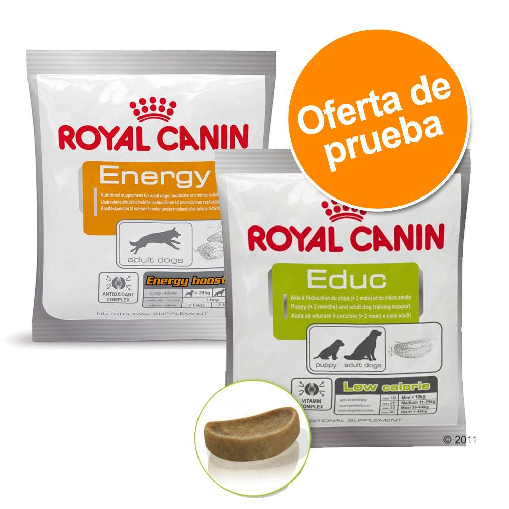 Image of Pack mixto: Royal Canin snacks adiestramiento 2 x 50 g - 2 x 50 g 03182550784641