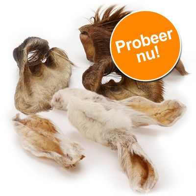 Probeer Nu Wolf Of Wilderness Kauworen Konijnenoren Met Vacht 100 G 8 Stuks wolf of wilderness kopen in de aanbieding