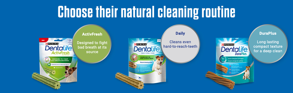 Purina Dentalife ActivFresh Daily Dental Care Snacks for Medium Breed Dogs