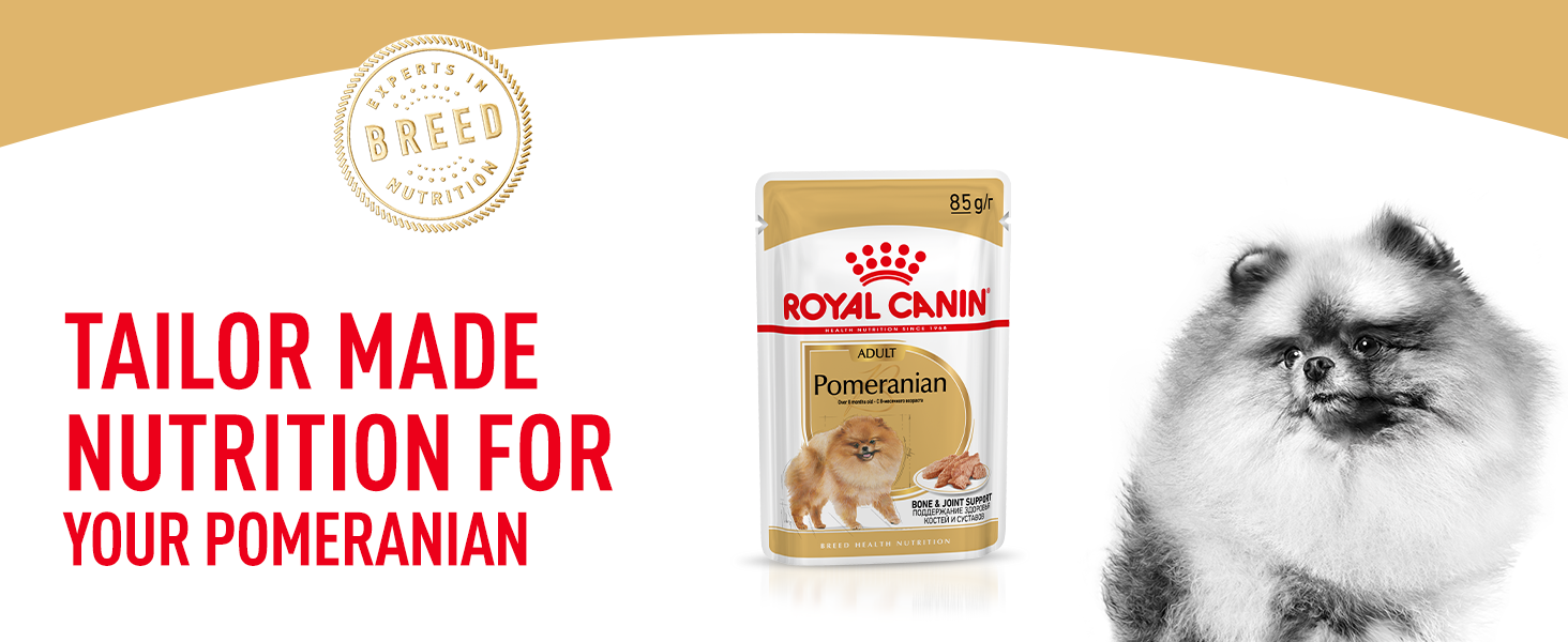 Raça Royal Canin Pomerânia