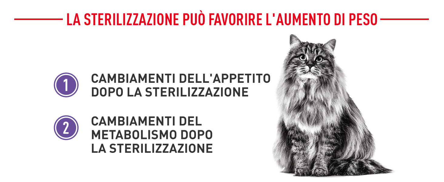 Royal Canin Appetite Control