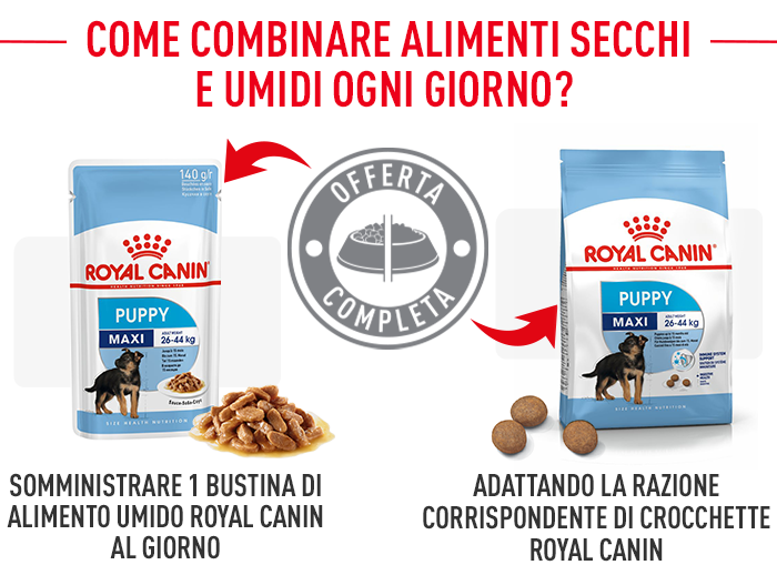 Royal Canin Maxi Puppy Nassfutter