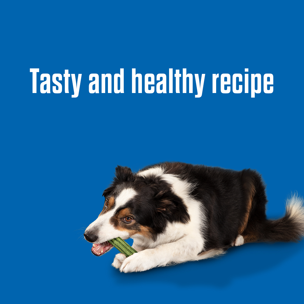 Purina Dentalife ActivFresh Daily Dental Care Snacks for Medium Breed Dogs