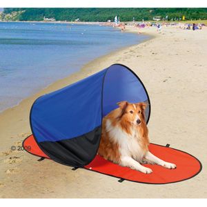ir a la playa con perro